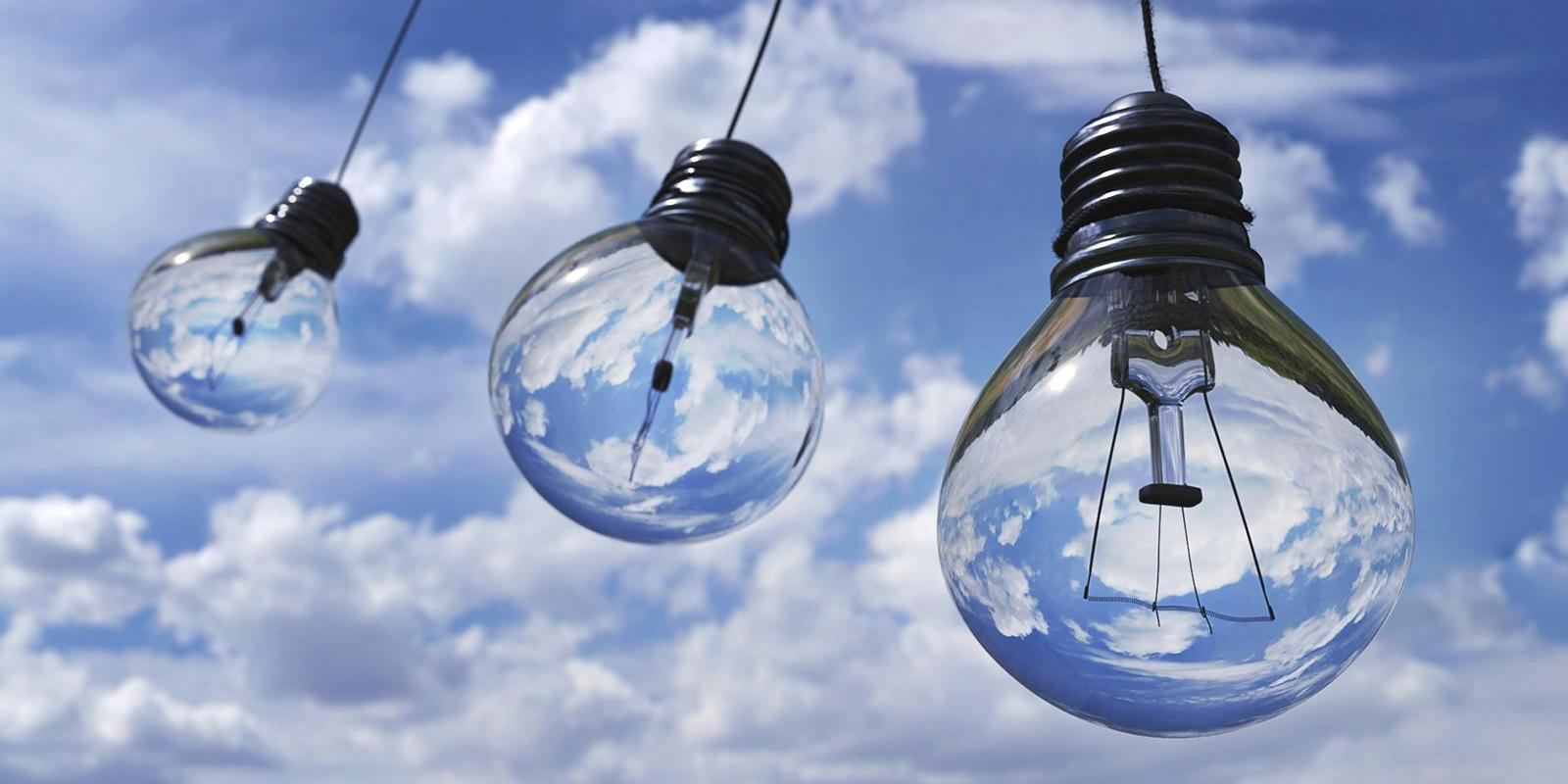 Establishment of the REDD+ Task Force